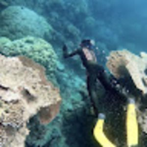 Meet your Posher, Scarlett